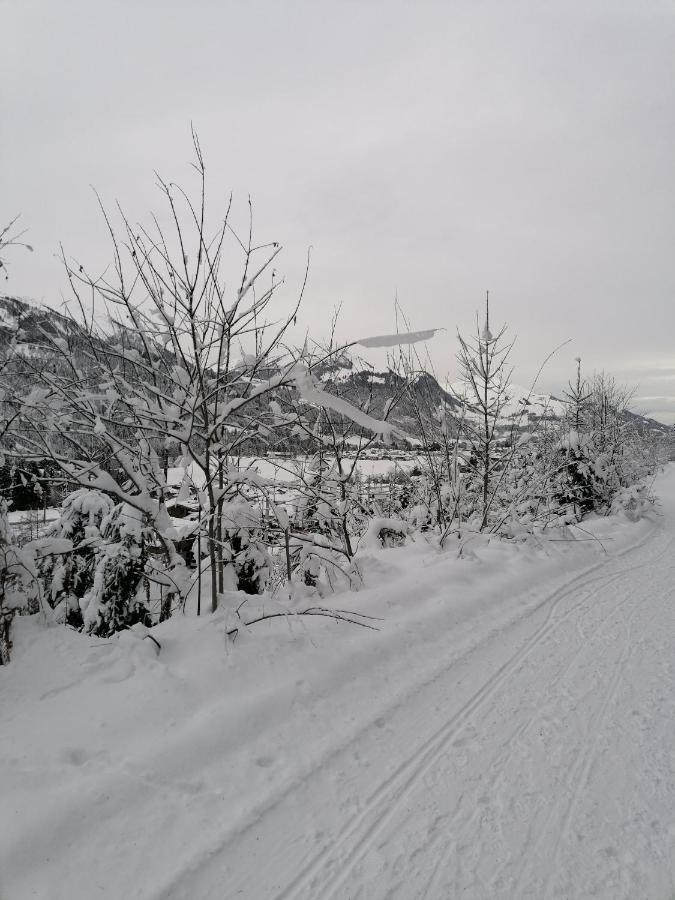 Ferienwohnungen Vordergriess Hochfilzen Dış mekan fotoğraf