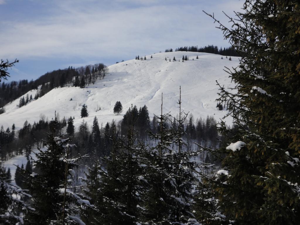 Ferienwohnungen Vordergriess Hochfilzen Dış mekan fotoğraf