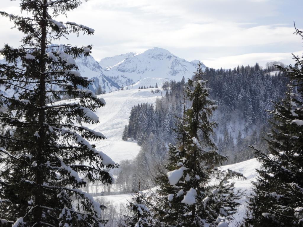 Ferienwohnungen Vordergriess Hochfilzen Dış mekan fotoğraf