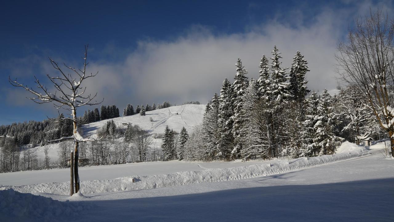 Ferienwohnungen Vordergriess Hochfilzen Dış mekan fotoğraf