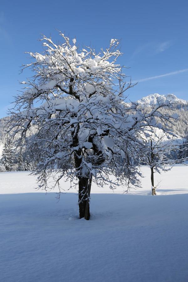 Ferienwohnungen Vordergriess Hochfilzen Dış mekan fotoğraf