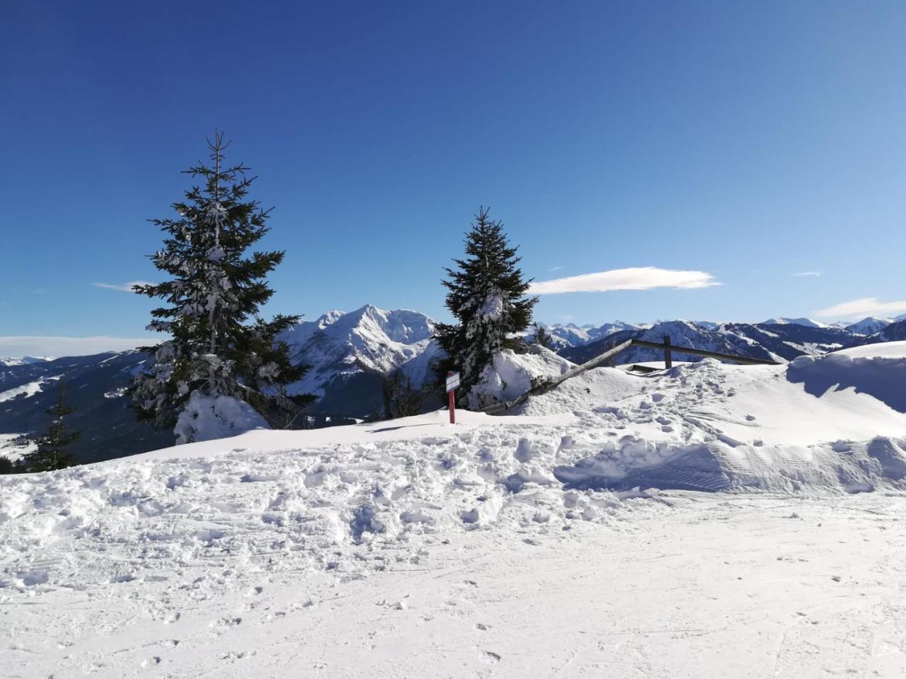 Ferienwohnungen Vordergriess Hochfilzen Dış mekan fotoğraf